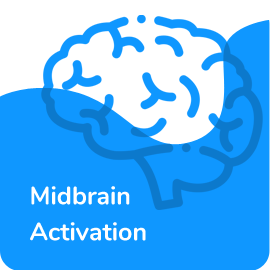 Midbrain activation course